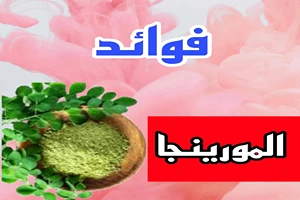 الفوائد الصحية للمورينجا