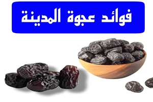 فوائد عجوة المدينة