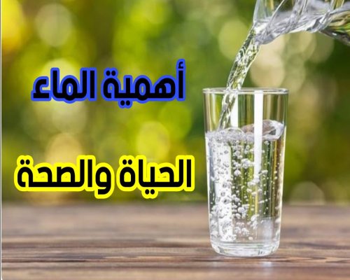 أهمية الماء في دعم الحياة والصحة