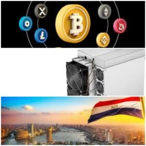 قانون العملات الرقمية في مصر وشركات التعدين