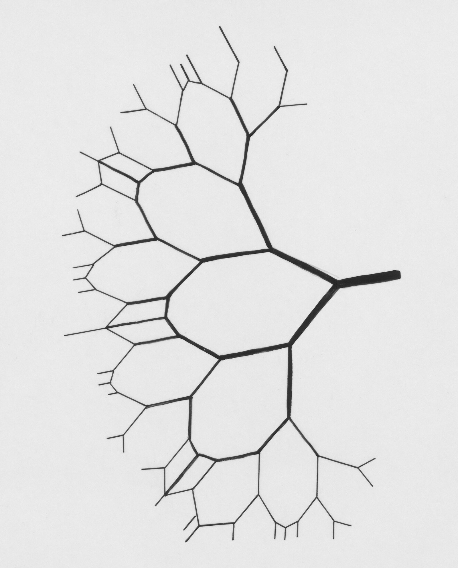 a black and white drawing of a leaf