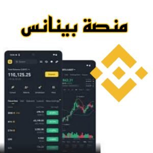 دليل شامل لمنصة بينانس وعملتها القيمة